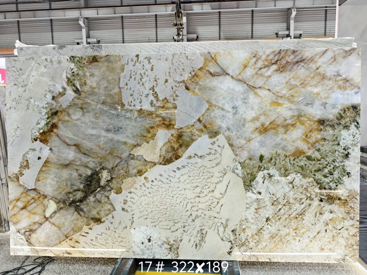 孔雀开屏2