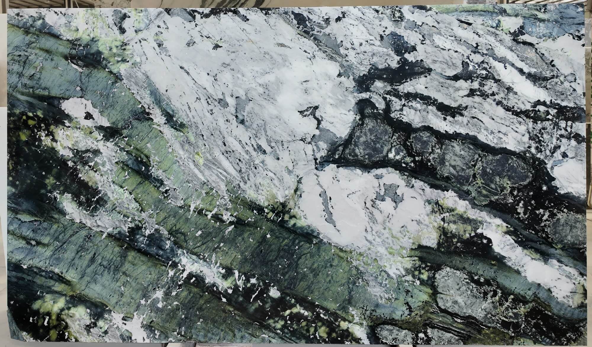 北国雪松2